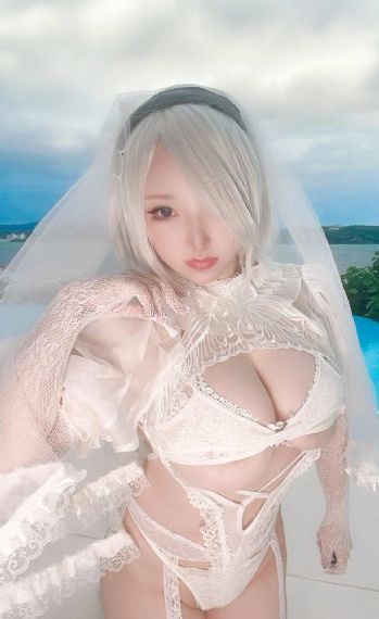 傻王夺嫡