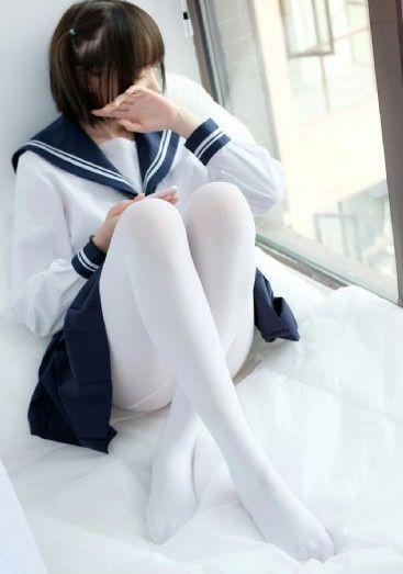 野狼与鸽子